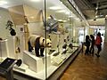 Biodiversity exhibit - Royal Ontario Museum - DSC00209