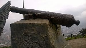 Archivo:Cañones utilizados en la batalla del Cerro del Borrego