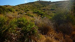 Archivo:Cabezo San Gines80154