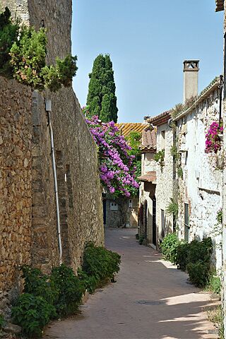 Calles de Sant Martín (5).jpg