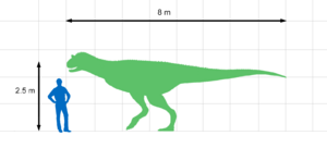 Archivo:Carnotaurus Size Chart