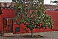 Casa del vino. El sauzal
