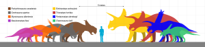 Archivo:Ceratopsidae Scale