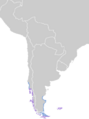 Chloephaga hybrida map