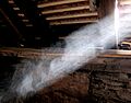 Dust dancing in the sunlight Me 074a