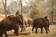 Archivo:ElephantTrainingCamp
