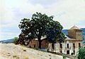 Encina