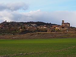 Etura (Barrundia).jpg