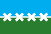 Flag of Cedar Park, Texas (2016–2019).svg