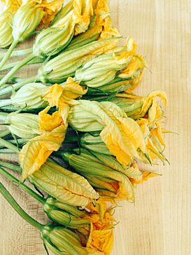 Foodlander- Squash Blossoms.jpg