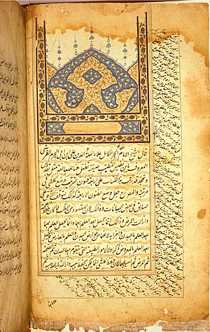Archivo:Ibn al-nafis page