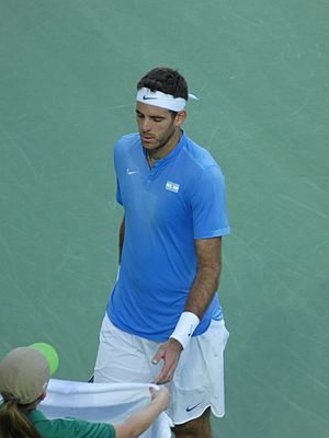 Archivo:Juan Martín del Potro - Rio 2016