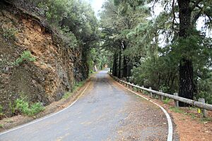 Archivo:La Palma - Barlovento - LP-109 01 ies