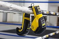 Archivo:Lace Up Boxing Gloves