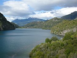 Lago verde (Los Alerces National Park) 01.JPG