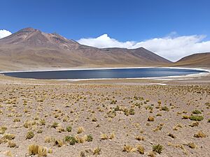 Archivo:Laguna Miñiques, Región de Antofagasta, Chile. Foto Carlos Teixidor Cadenas
