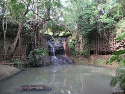 Latille Waterfall (49982946872).jpg