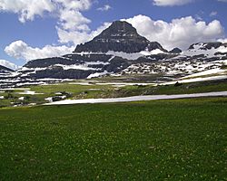 Archivo:Mount Reynolds at Logan Pass