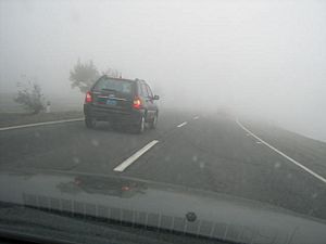 Archivo:Niebla en carretera de Perú
