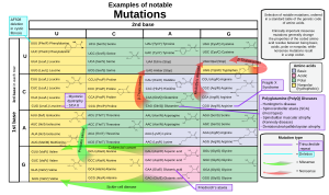 Archivo:Notable mutations