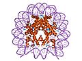 PDB 1u35 EBI
