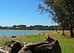 Pantano del Corumbel (La Palma del Condado)(Huelva) (15350477987).jpg