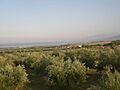 Plaka-Litochoro