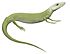 Protorothyris.jpg