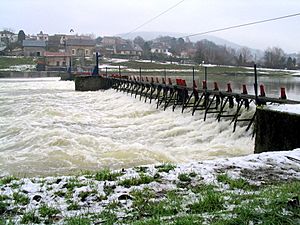 Archivo:Revin Meuse weir 20041230- 024