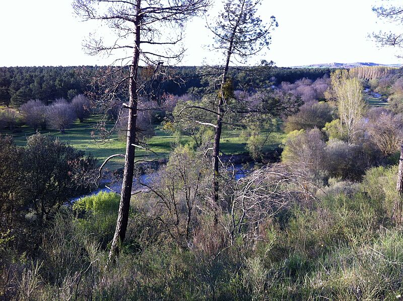 Rio-moros-pinar-yanguas