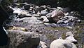 Rio el guarango