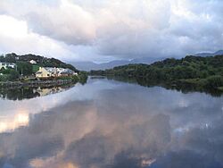 River Laune, Killorglin - geograph.org.uk - 250478.jpg