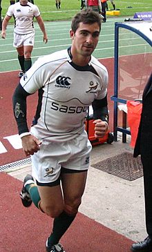 Ruan Pienaar, Springbok.jpg