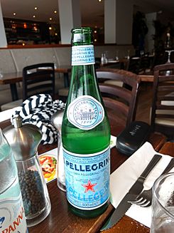 San Pellegrino 500ml bottle.jpg