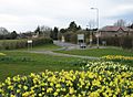 Spring time at Heol Isaf, Radyr, Cardiff - geograph.org.uk - 361868