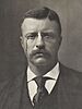 Theodore Roosevelt 1901 Portrait (3x4 cropped).jpg
