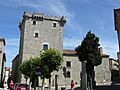 TorreónDeLosGuzmanes20110618110840P1120183