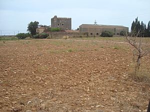 Archivo:Torre del Marqués (Torreblanca)