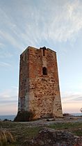 Torre del jaral (2)