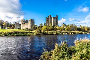 Archivo:Trim Castle November 2013