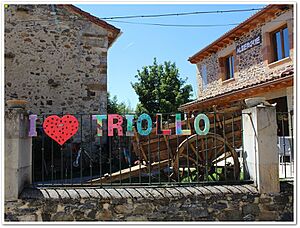 Archivo:Triollo 27