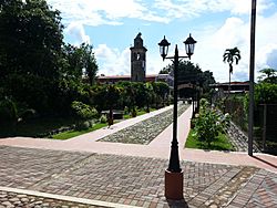 Vista de La Torre externa de la Catedral de San José de David desde el camino Tardes de Antaño y Sombrero.jpg