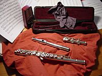 Archivo:Western concert flute 1