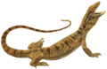 Zoology of Egypt (1898) (Varanus griseus)