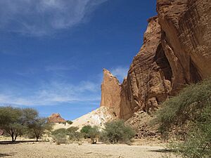 Archivo:Acacia Trees in the Ennedi Mountains - northeastern Chad 2015