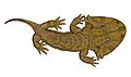 Acanthostomatops vorax