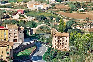 Archivo:Antic pont sobre el Cardener