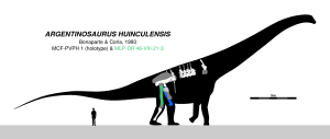 Archivo:Argentinosaurus 9