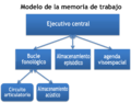 Baddeley and Hitch's Working Memory Model-es