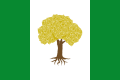 Bandera de Olivares de Júcar.svg